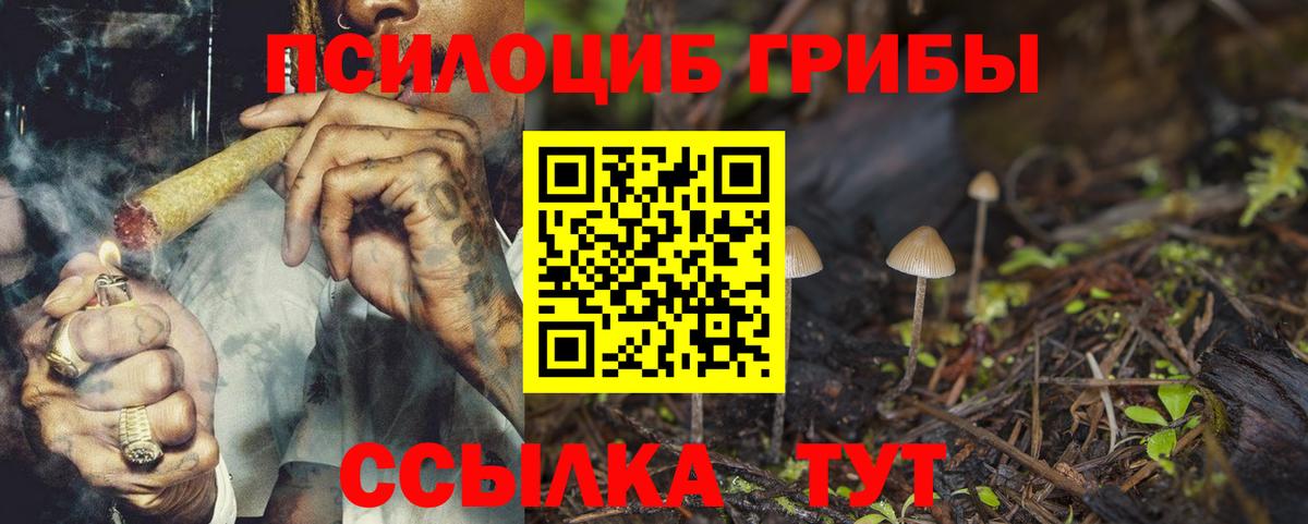 Псилоцибиновые грибы Cubensis Павлово