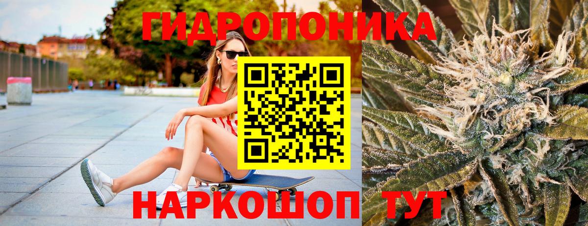 Конопля гибрид Павлово